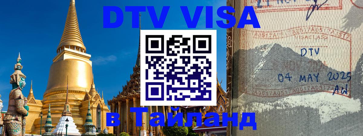 Сколько стоит DTV виза — актуальные цены, оформление даже без документов - 
